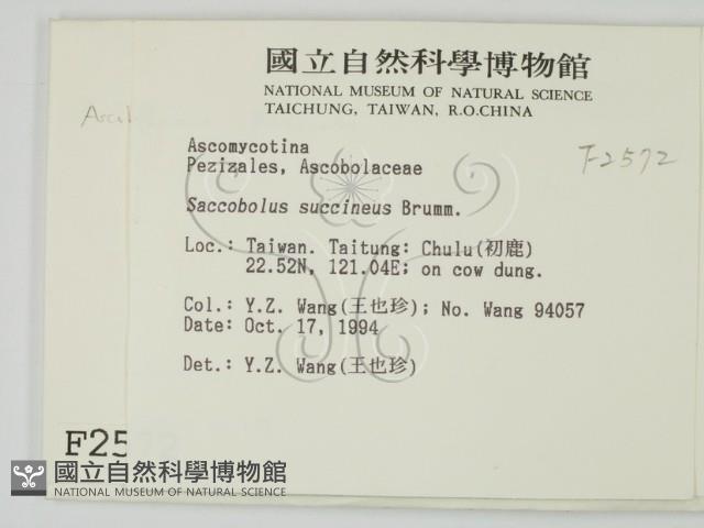 登錄號:F0002572藏品圖，第2張