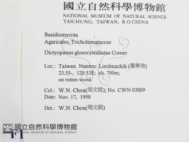 登錄號:F0012572藏品圖，第2張