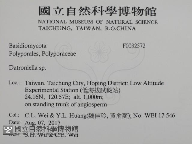 登錄號:F0032572藏品圖，第2張