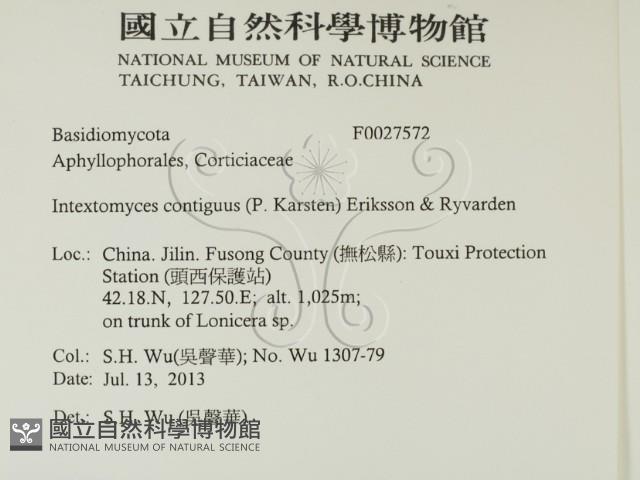 登錄號:F0027572藏品圖，第2張