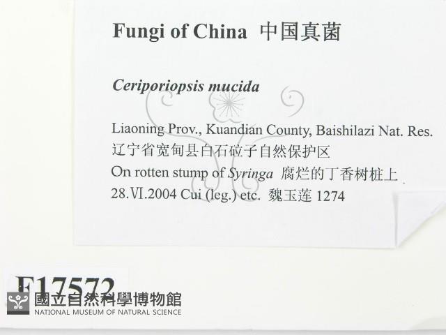 登錄號:F0017572藏品圖，第2張