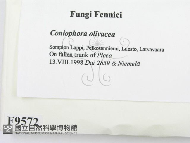 登錄號:F0009572藏品圖，第2張