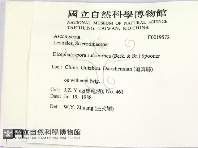 登錄號:F0019572藏品圖，第2張