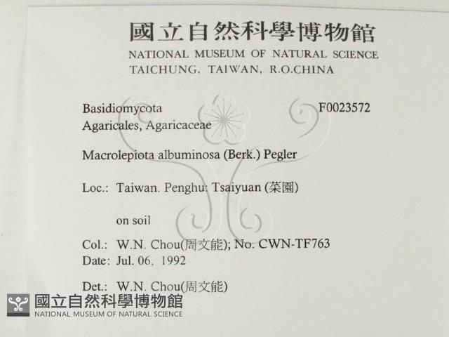 登錄號:F0023572藏品圖，第2張