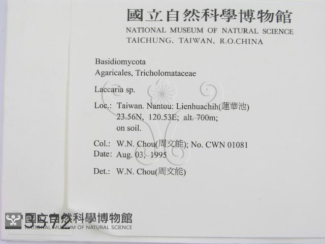 登錄號:F0003572藏品圖，第2張