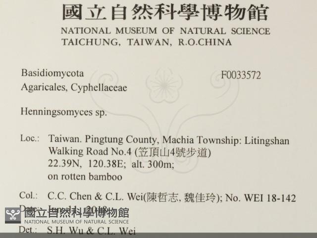 登錄號:F0033572藏品圖，第2張