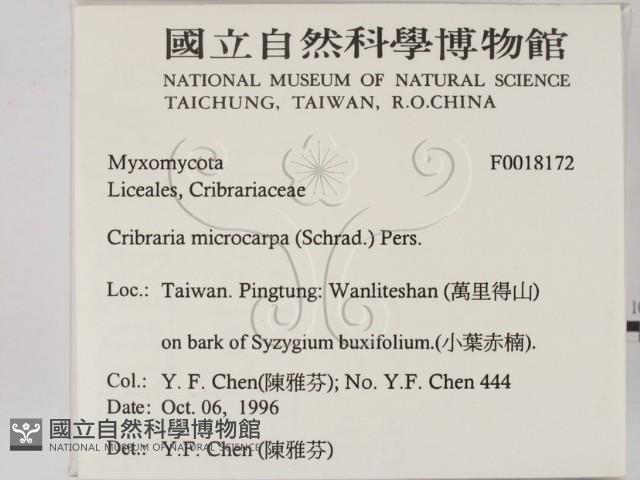 登錄號:F0018172藏品圖，第2張