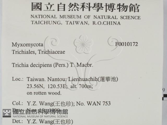 登錄號:F0010172藏品圖，第2張