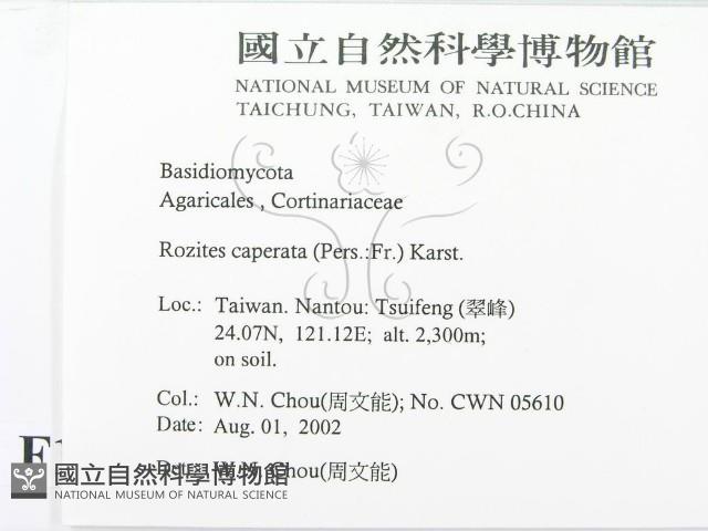 登錄號:F0016172藏品圖，第2張