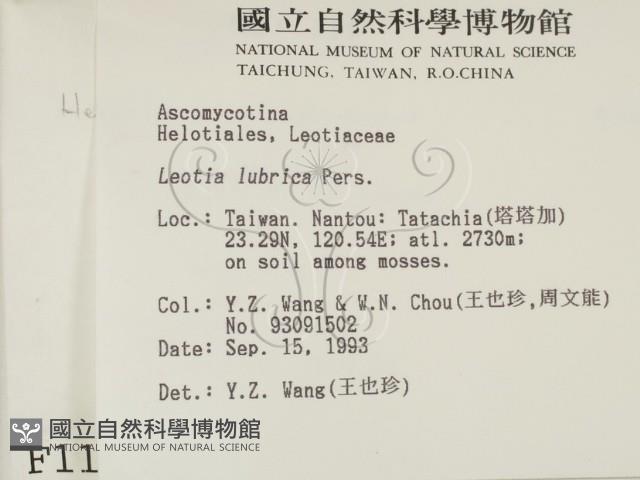 登錄號:F0001172藏品圖，第2張