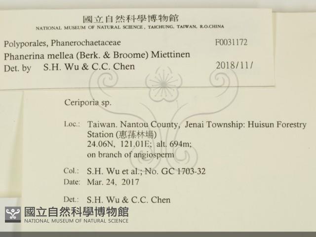 登錄號:F0031172藏品圖，第2張