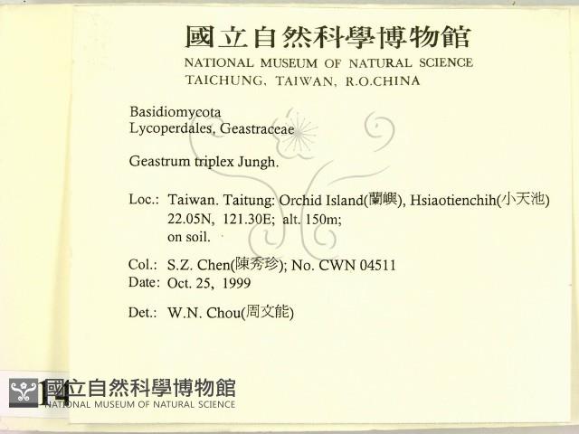 登錄號:F0014172藏品圖，第2張