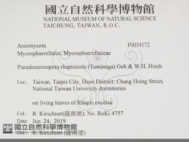 登錄號:F0034172藏品圖，第2張