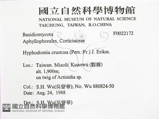 登錄號:F0022172藏品圖，第2張