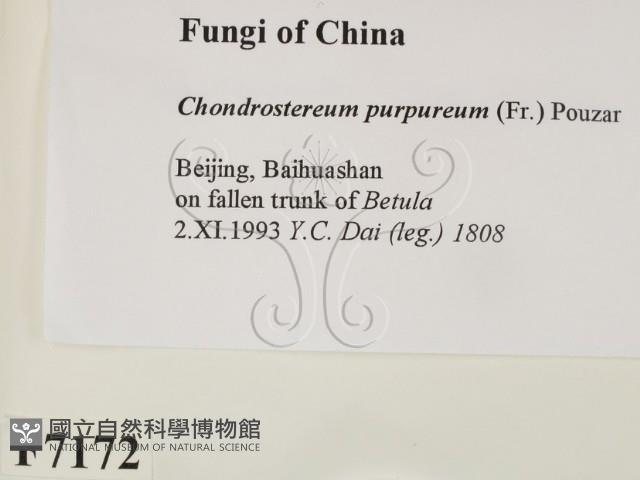 登錄號:F0007172藏品圖，第2張