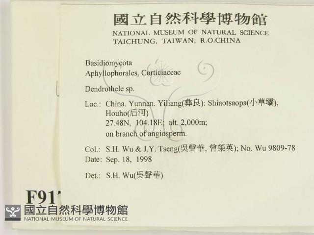 登錄號:F0009172藏品圖，第2張