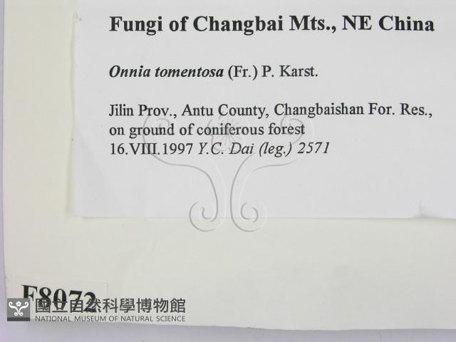 登錄號:F0008072藏品圖，第2張