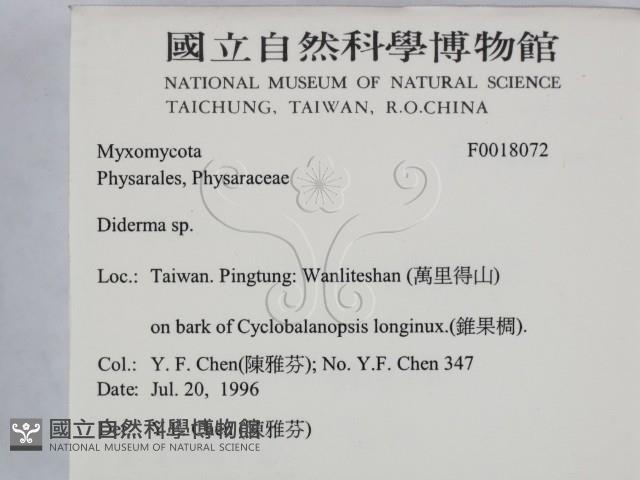 登錄號:F0018072藏品圖，第2張