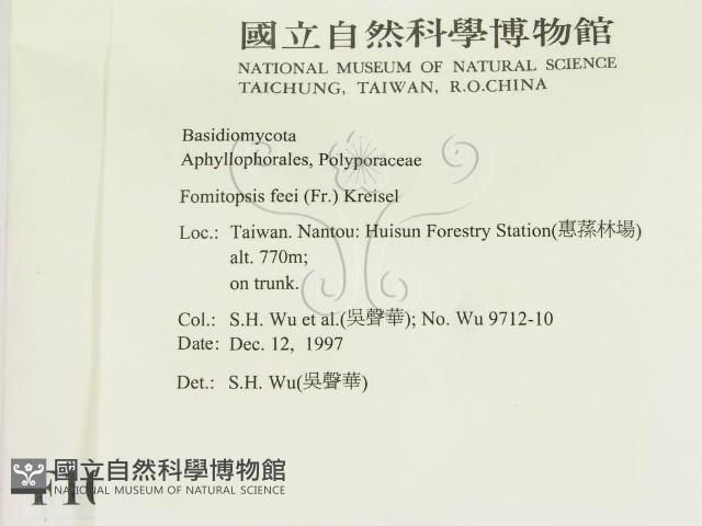 登錄號:F0010072藏品圖，第2張