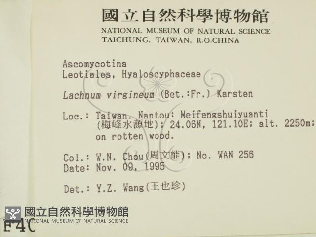 登錄號:F0004072藏品圖，第2張