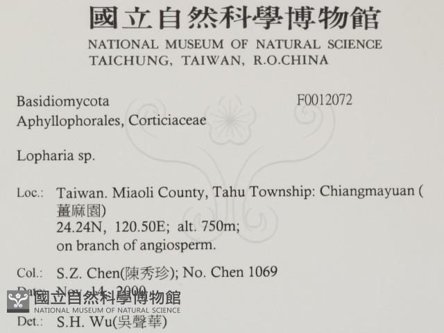 登錄號:F0012072藏品圖，第2張