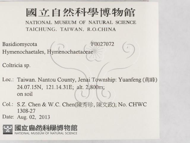 集毛菌屬藏品圖，第2張