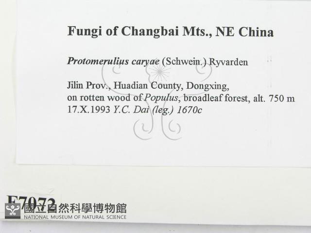 登錄號:F0007072藏品圖，第2張