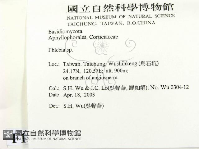 射脈菌屬藏品圖，第2張