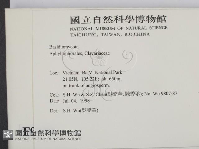 登錄號:F0009072藏品圖，第2張