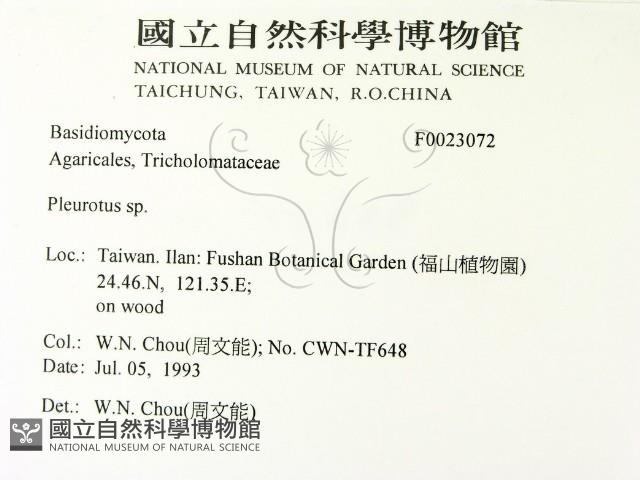 登錄號:F0023072藏品圖，第2張
