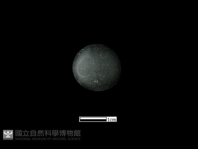 圍棋子藏品圖，第2張