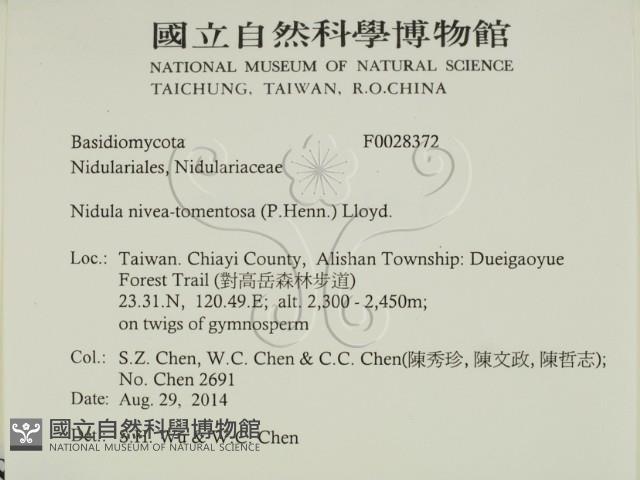 登錄號:F0028372藏品圖，第2張