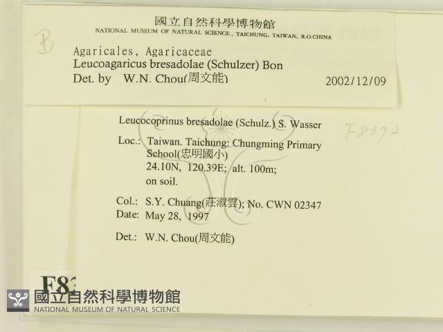 登錄號:F0008372藏品圖，第2張