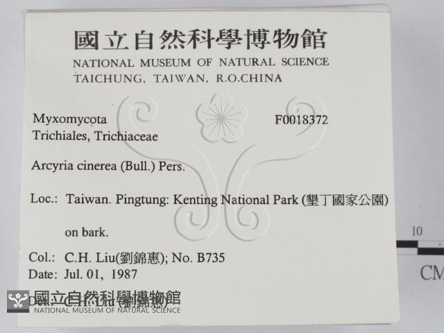 登錄號:F0018372藏品圖，第2張