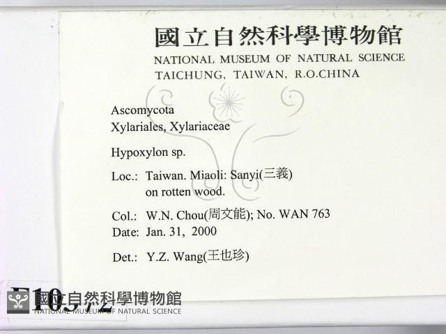 登錄號:F0010372藏品圖，第2張