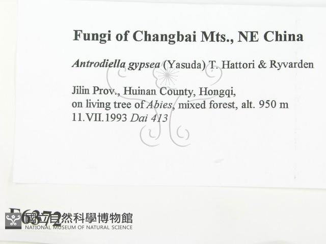 登錄號:F0006372藏品圖，第2張