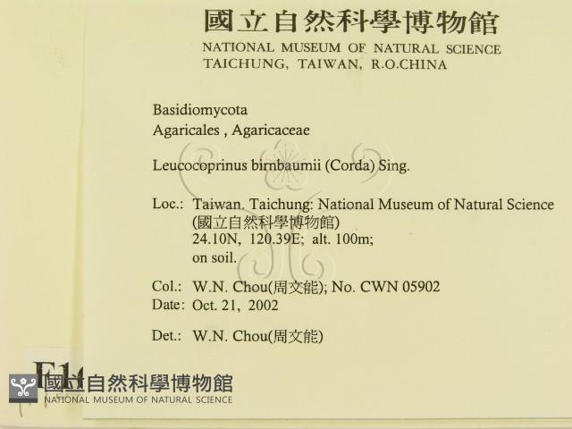 登錄號:F0016372藏品圖，第2張