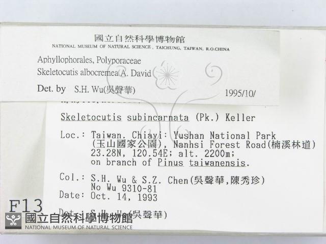 登錄號:F0001372藏品圖，第2張