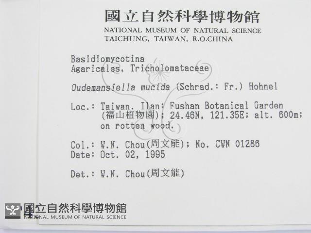 登錄號:F0004372藏品圖，第2張