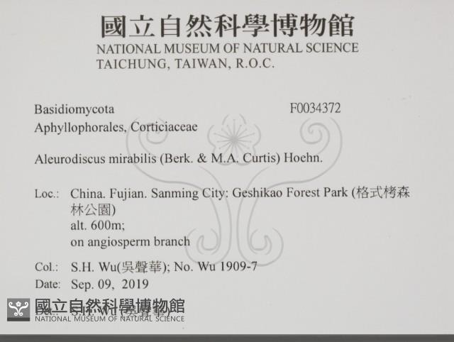 登錄號:F0034372藏品圖，第2張