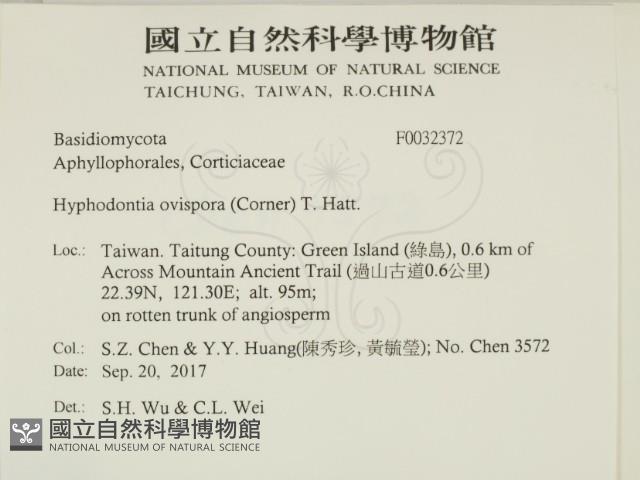 登錄號:F0032372藏品圖，第2張