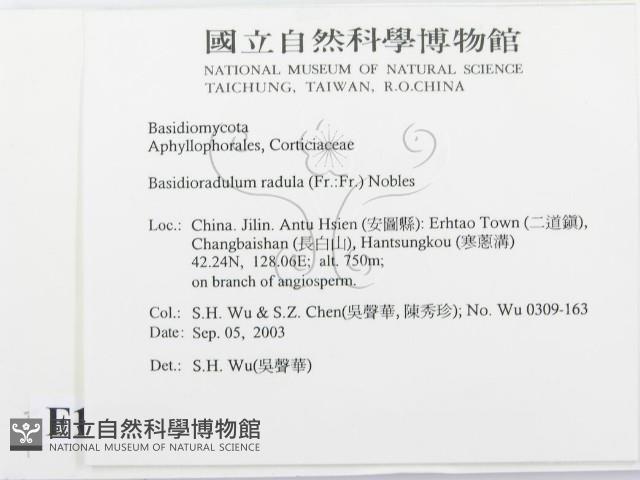 登錄號:F0015372藏品圖，第2張
