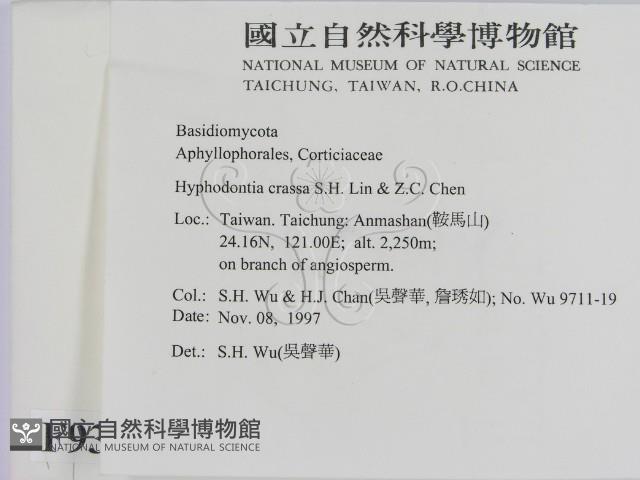 登錄號:F0009372藏品圖，第2張