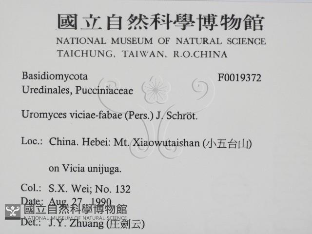登錄號:F0019372藏品圖，第2張