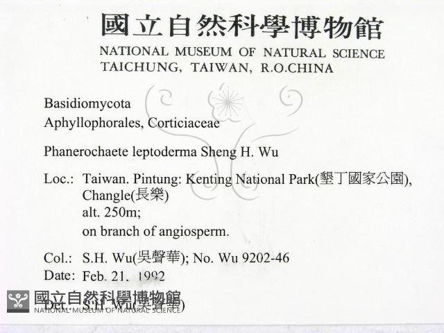 登錄號:F0000267藏品圖，第2張