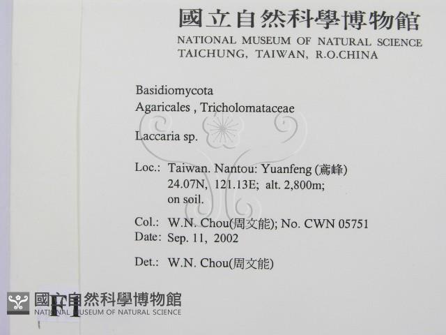 登錄號:F0016267藏品圖，第2張