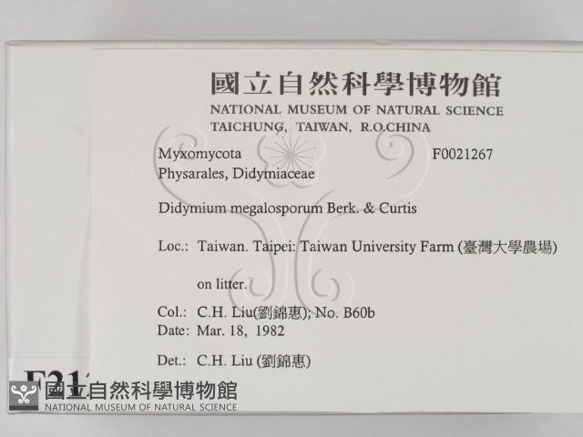 登錄號:F0021267藏品圖，第2張