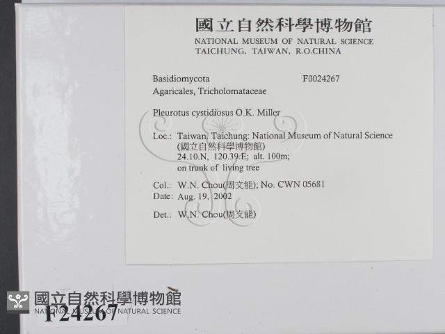 登錄號:F0024267藏品圖，第2張