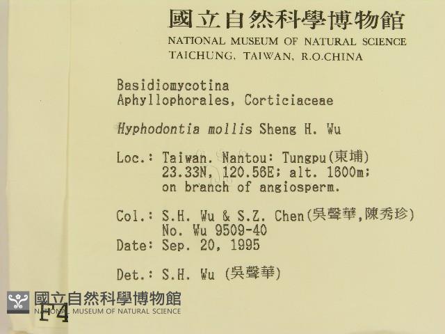 登錄號:F0004267藏品圖，第2張