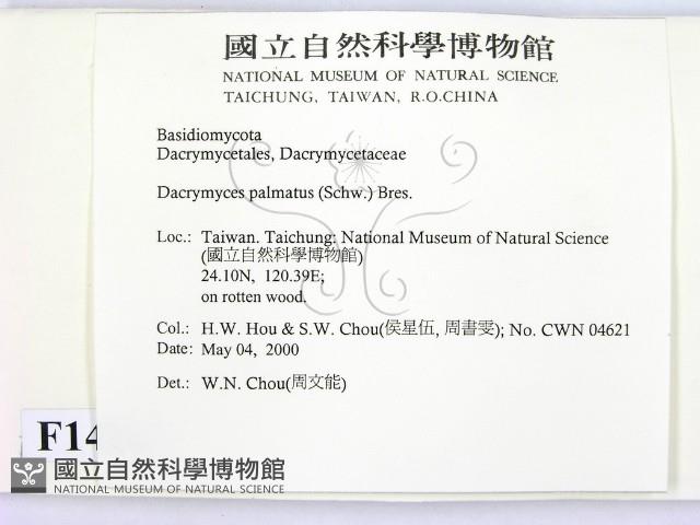 登錄號:F0014267藏品圖，第2張